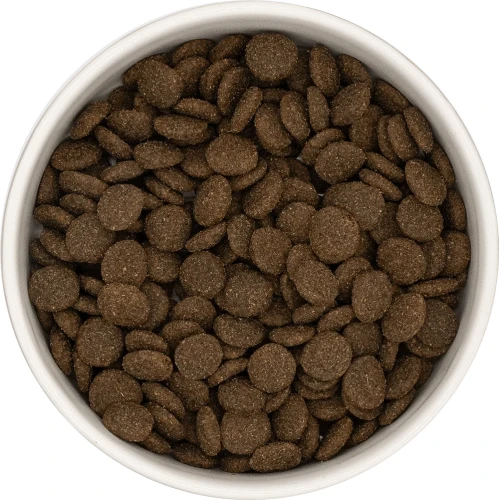 Jagniecina-z-batatami-pies-dorosly-01.png.webp