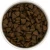 szkocki-Losos-pies-dorosly-01.png.webp