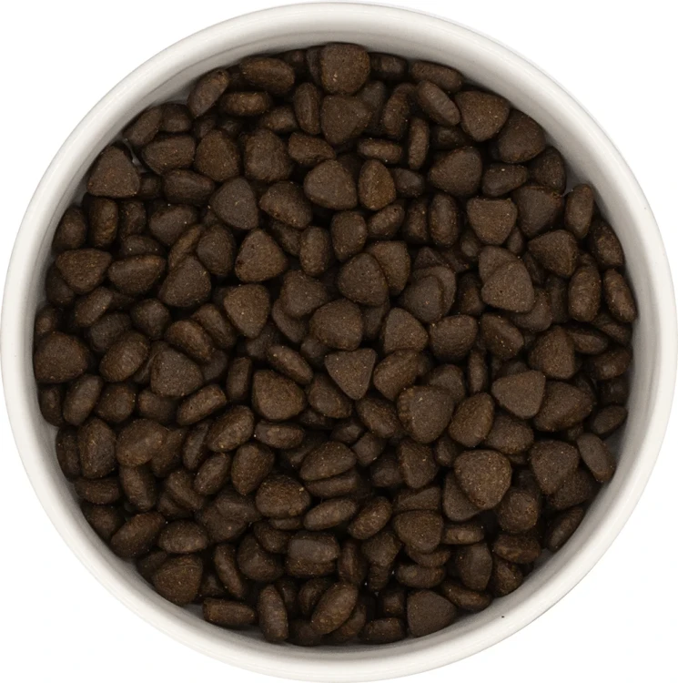 szkocki-losos-mala-rasa-01.png.webp