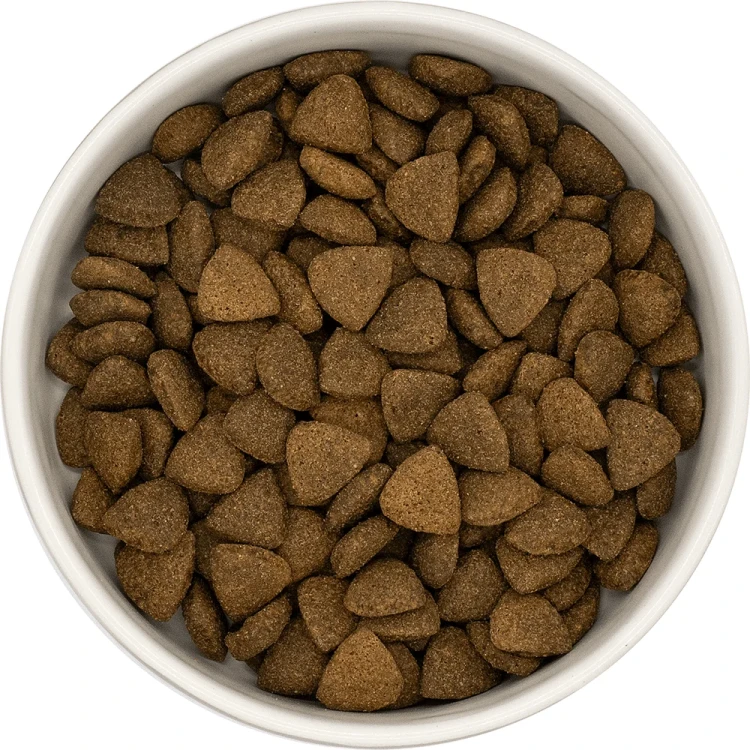 wolowina-angus-pies-dorosly-01.png.webp