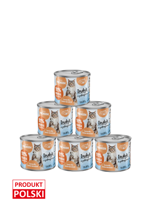 kot-indyk-pstrąg-6x.png
