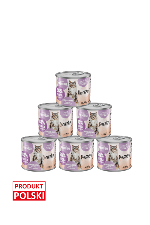 kot-kaczka-6x.png