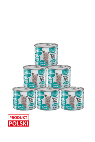 kitten-kip-6x.png
