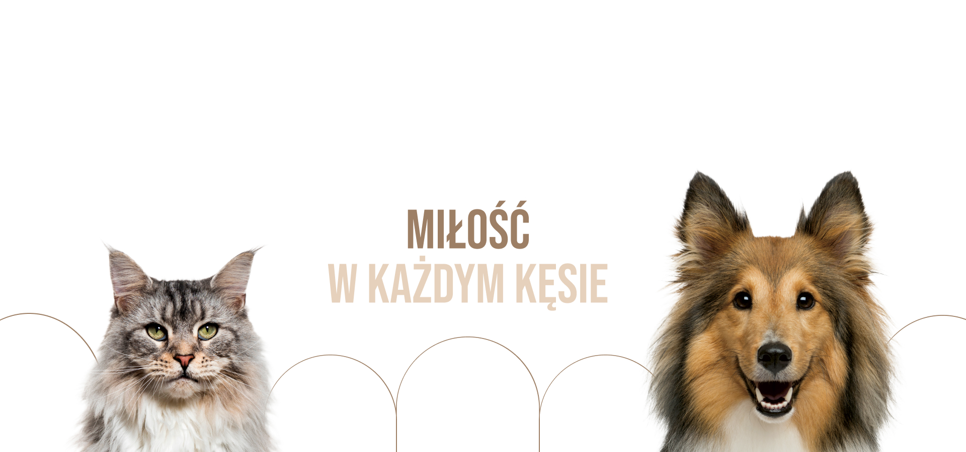 Pies i kot beż