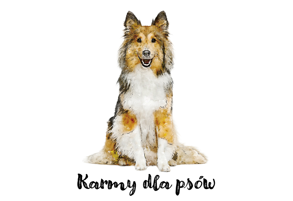 Pies Monobiałkowa Karma Premium 